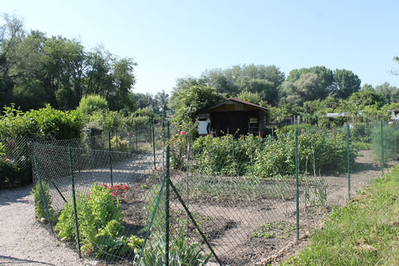 Jardins familiaux