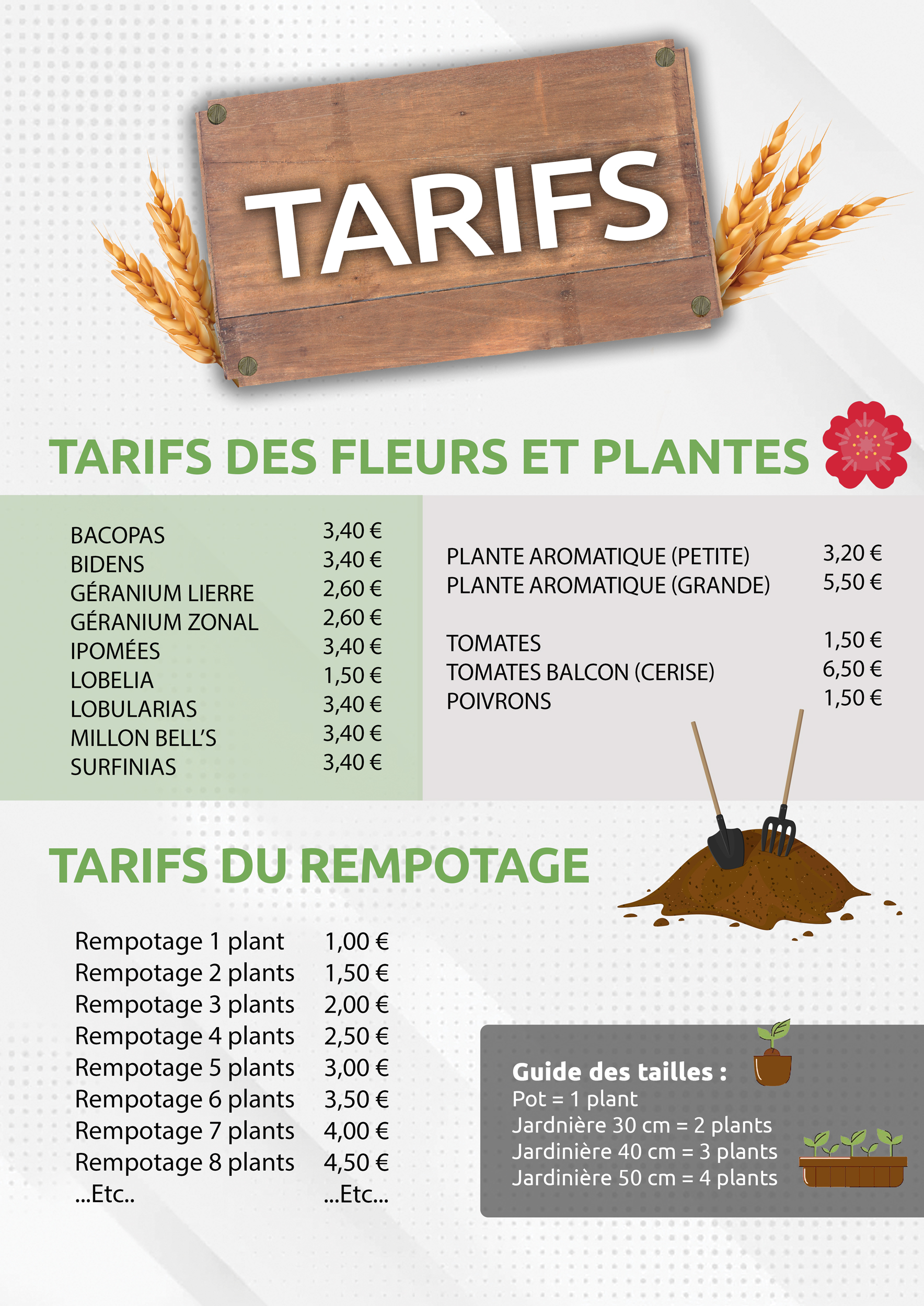 Rempotage de géraniums