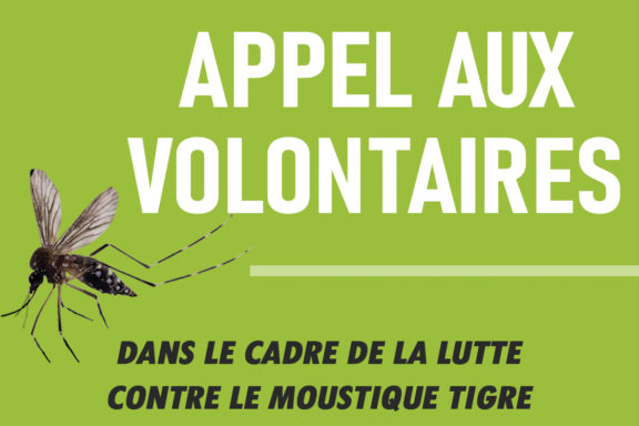 Moustiques tigre : appel aux bénévoles
