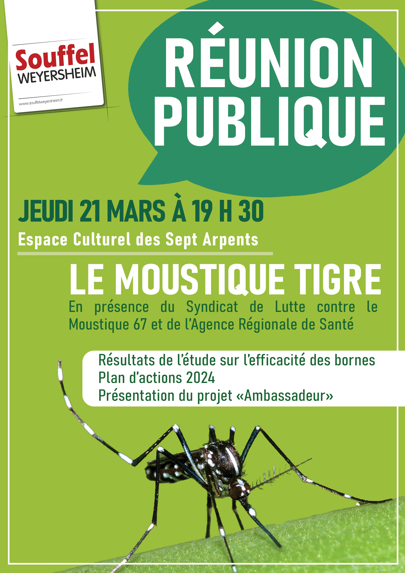 Réunion Publique : le Moustique tigre