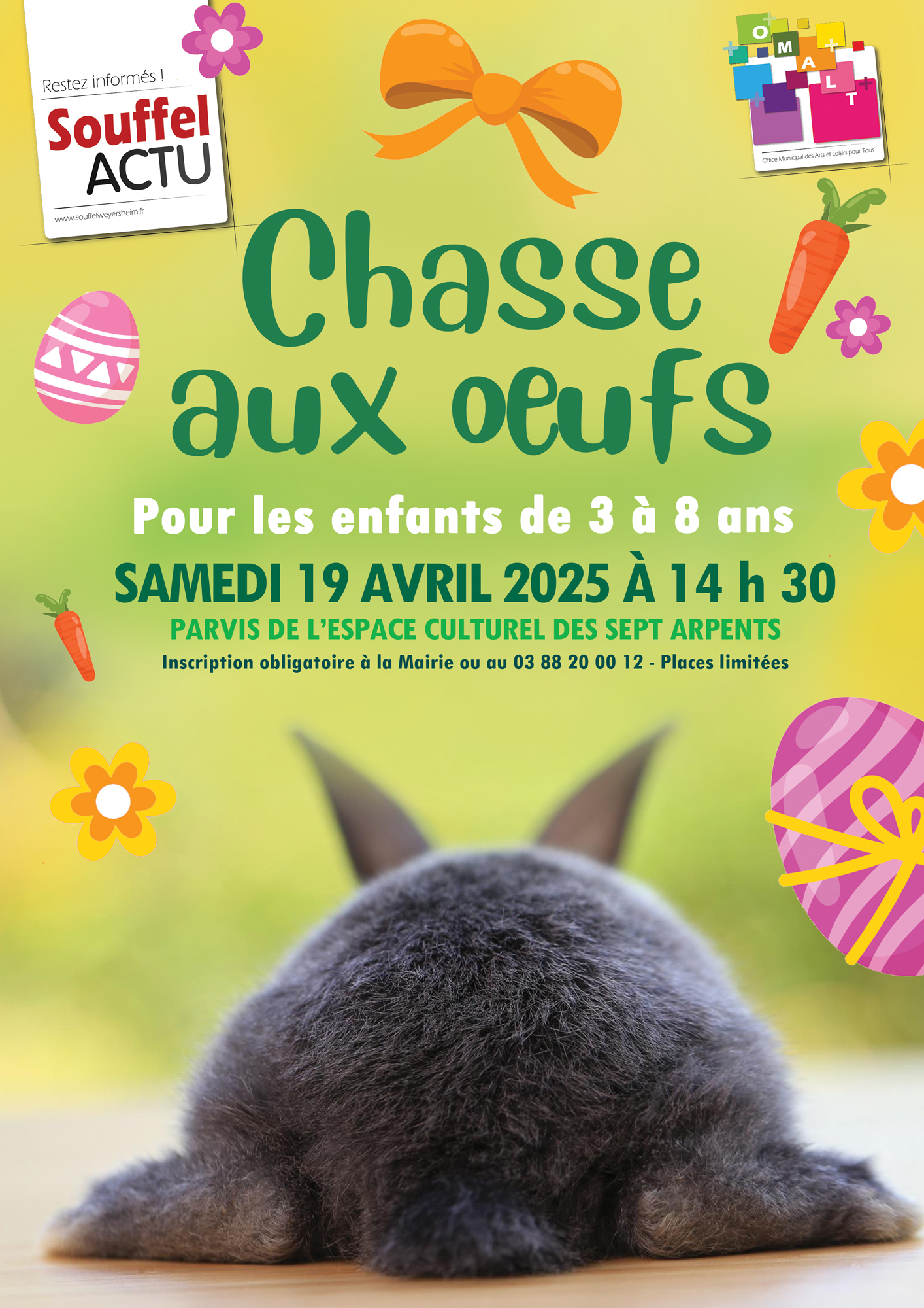 Chasse aux oeufs