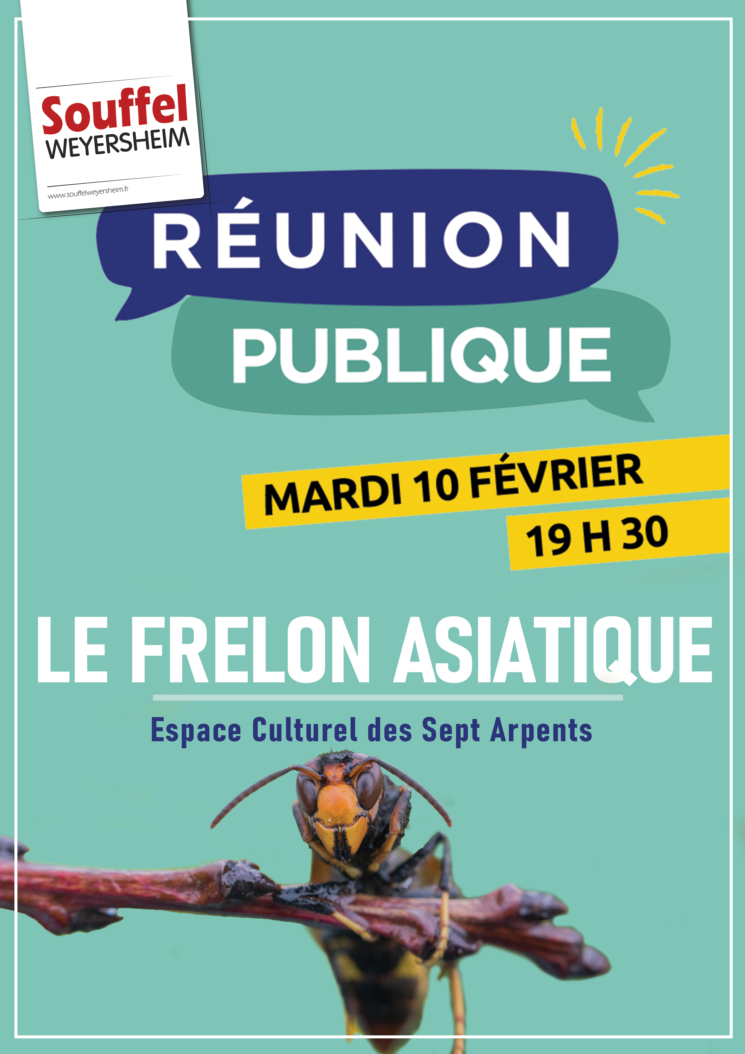 Réunion publique : Le frelon asiatique