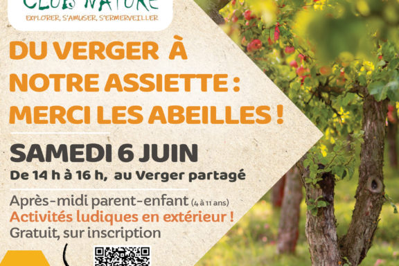 Du verger à notre assiette : merci les abeilles !