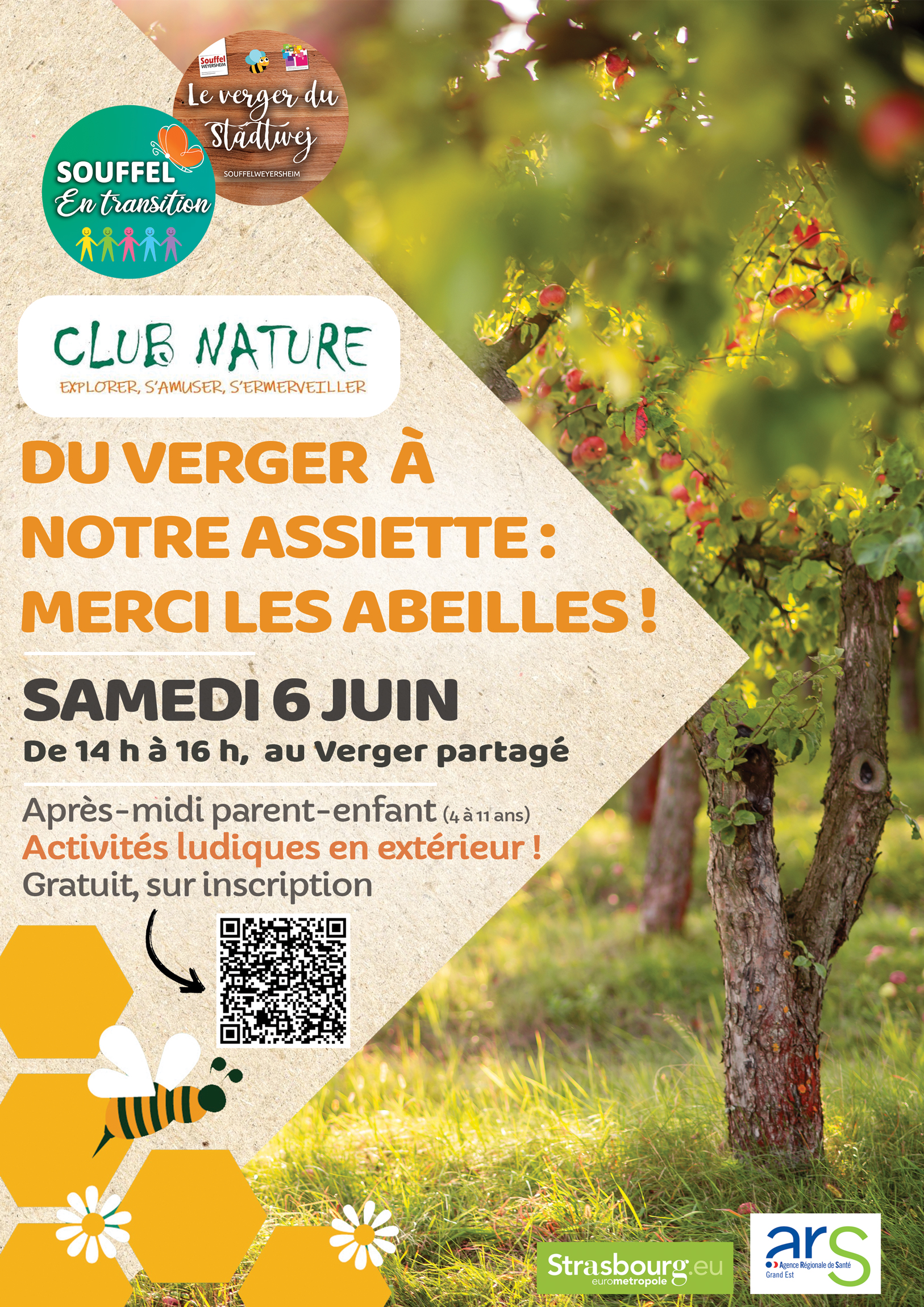 Du verger à notre assiette : merci les abeilles !