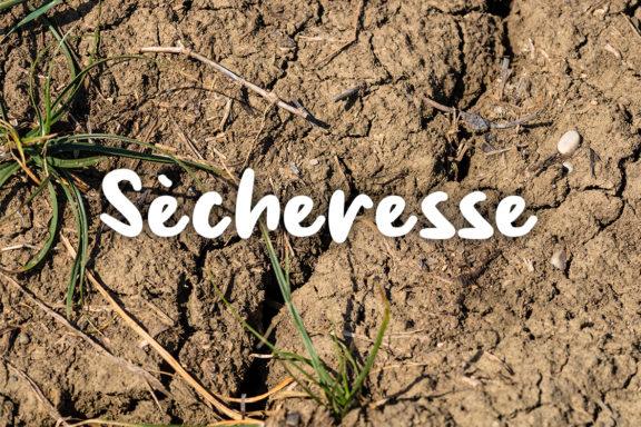 Sècheresse et usage de l'eau