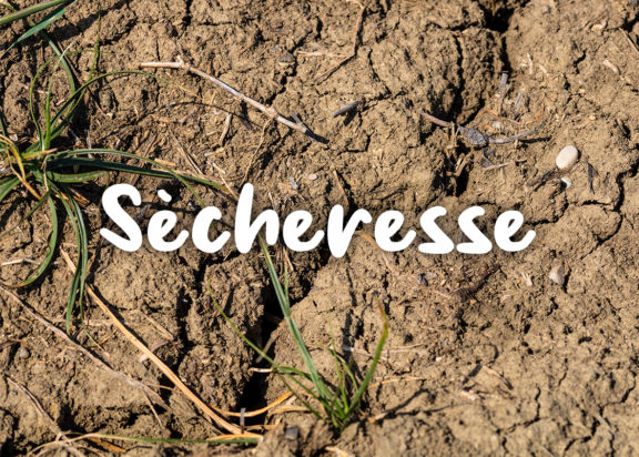 Sècheresse et usage de l&rsquo;eau