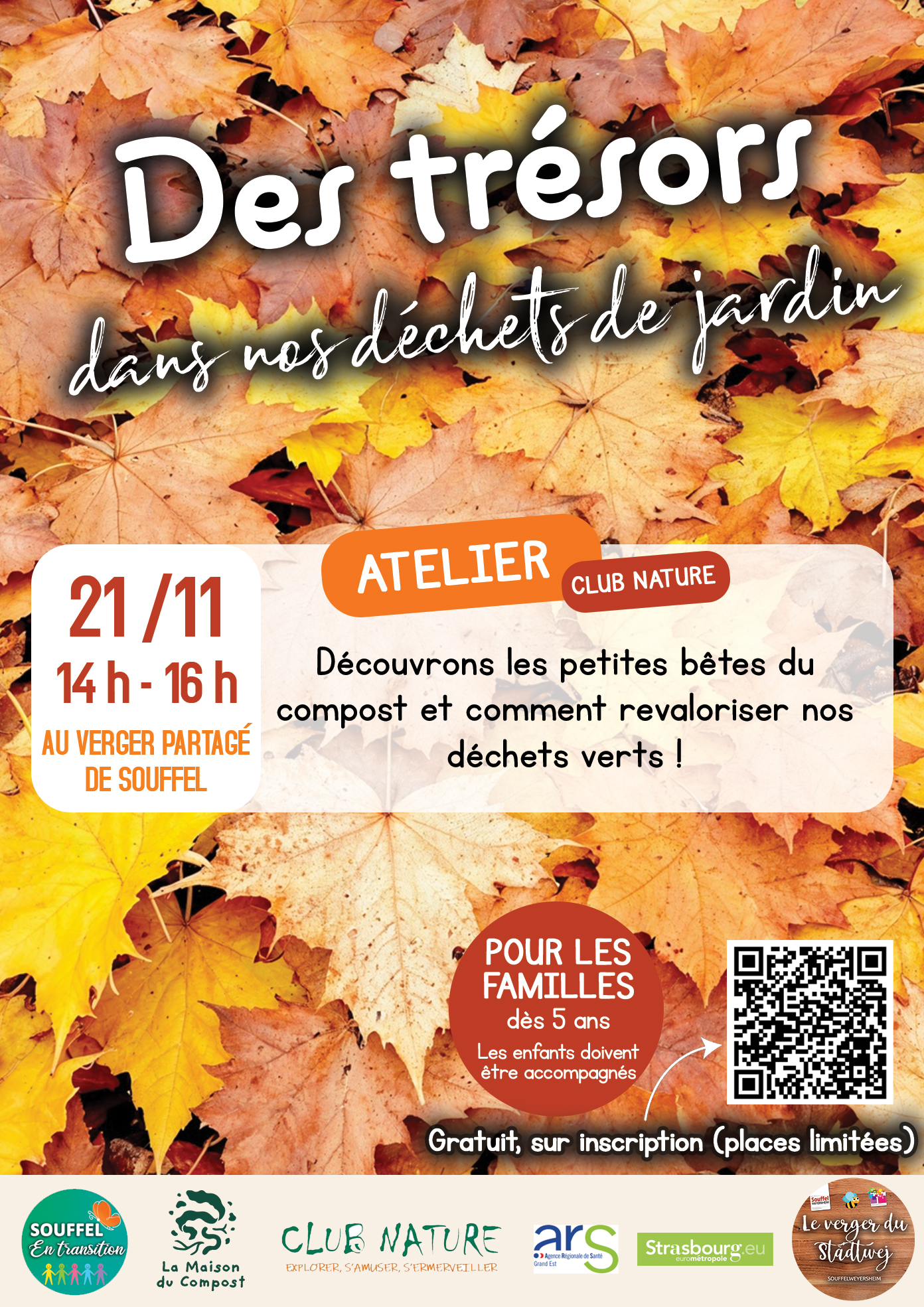 Atelier : des trésors dans nos déchets de jardin !